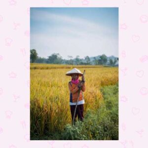 Agriculture-Aviculture-Elevage